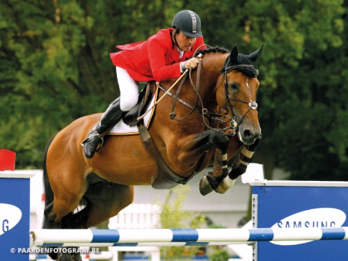 Kashmir van Schuttershof