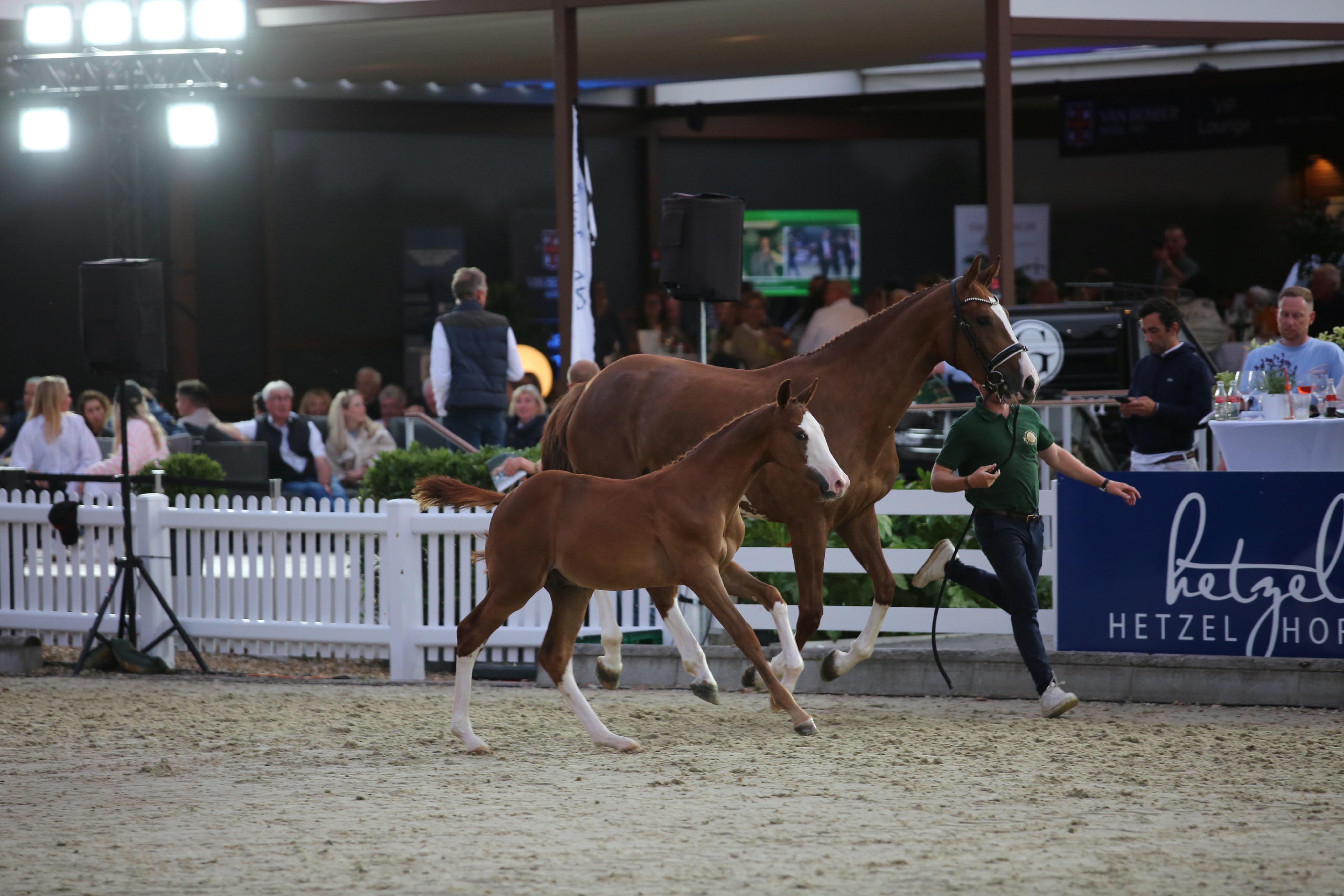 Goch (GER), Holger Hetzel Stables 2024