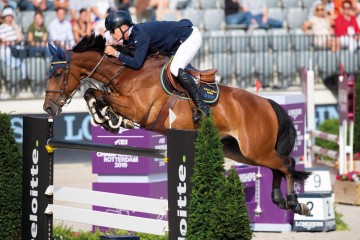 paard-allin20190823-ga64537.jpg