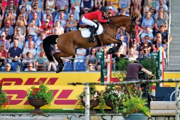 paard-catchmeifyoucanga60608.jpg