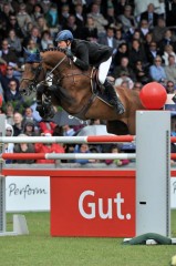 paard-chaccobluega16376-125819.jpg