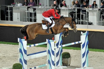 paard-electraga11613-071739.jpg