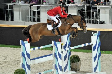 paard-electraga11613-140742.jpg