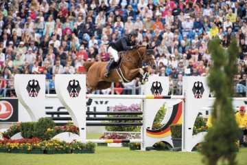 paard-emerald20170723-b-40303-080156.jpeg
