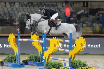 paard-enya-de-talma.jpg