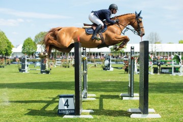 paard-farah2017-04-20097.jpg