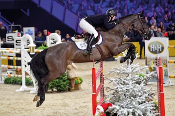 paard-imagine20191229-ga62572.jpg