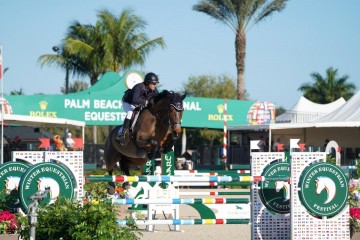 paard-imogen-de-regor.jpg
