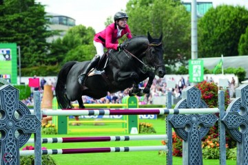 paard-impress-2-075357.jpeg