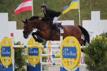 paard-jade-vh-groene-dak.jpg