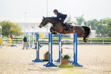 paard-kermit-van-overis-z-075613.jpg