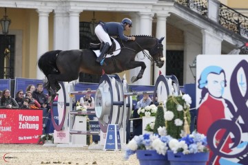 paard-messi-7.jpg