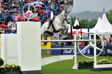 paard-mylordcarthagoga13131-141030.jpg