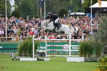 paard-picobello-075023.jpg