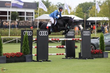 paard-querido-vg.jpg