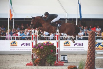 paard-resized-melia-20190922-ga64157-1-070803.jpg
