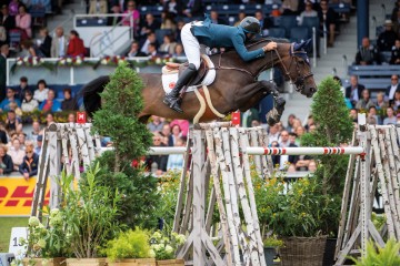 paard-sancha20170723-b-39939-163437.jpg