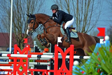 paard-sterrehof-ushi-ga27446-copy-074625.jpeg