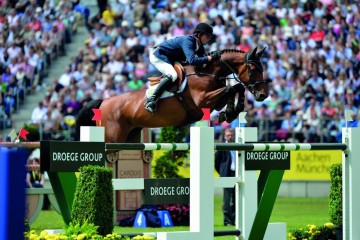 paard-walnutga21155-075315.jpeg