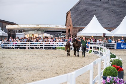 dsc9558-verbeterd-nr.jpg