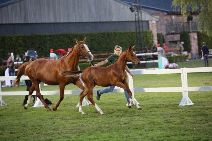 ffa-moerzeke-3-eclaire-van-de-vosberg.jpg