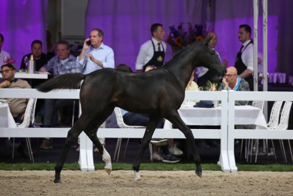 pb5-victory-vd-hunenborg.jpg