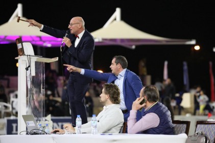 s20-auction-9.jpg