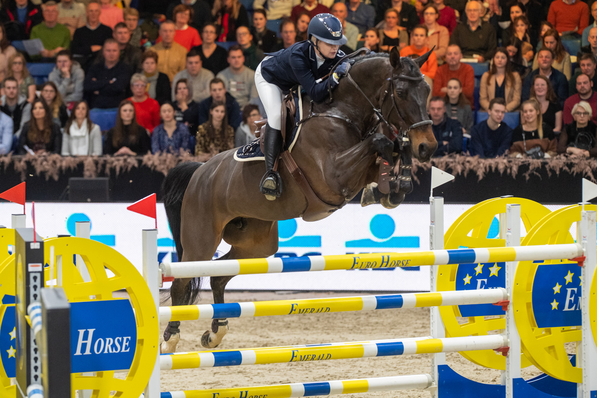 Selected for the Flanders Embryo Auction: two embryos out of the half-sister to the successful 1.60m Grand Prix horse Dalila de la Pomme, ridden by Evelina Tovek (photo)